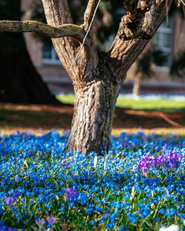 Korkusse
.
.
.
Krokusse sind wieder da, die ersten Anzeichen für den kommenden Frühling. Wir können es kaum abwarten wieder unterwegs zu sein, nacjh dem Motto "3onTour"
#korkus #krokusse #3ontour #ausflug #frühling #unterwegs #freiheit #nomask #sonne #sonya7iv #a7ⅳ
